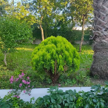 Villa Zekeriya Bey Trabzon